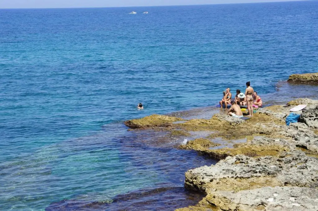 Giuggiulena