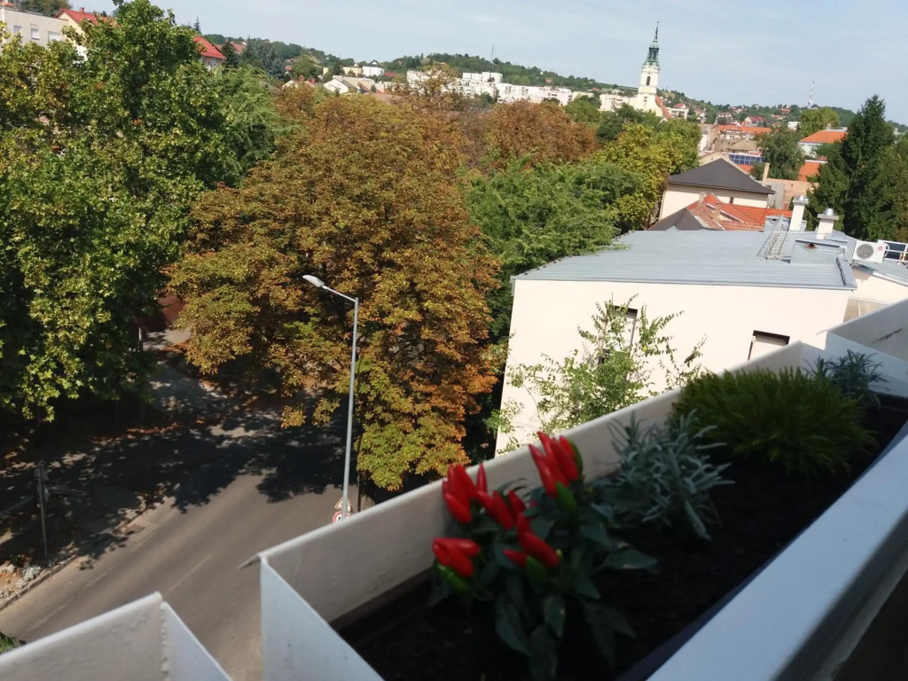 Málnás Macska Apartman