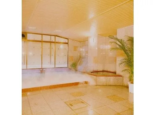 强罗朝日饭店(Gora Asahi Hotel)