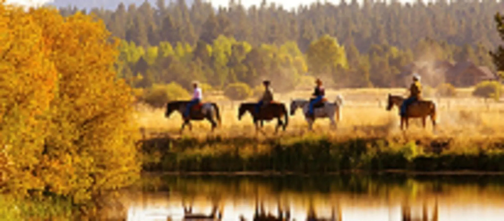 Silver Pine Lodge
