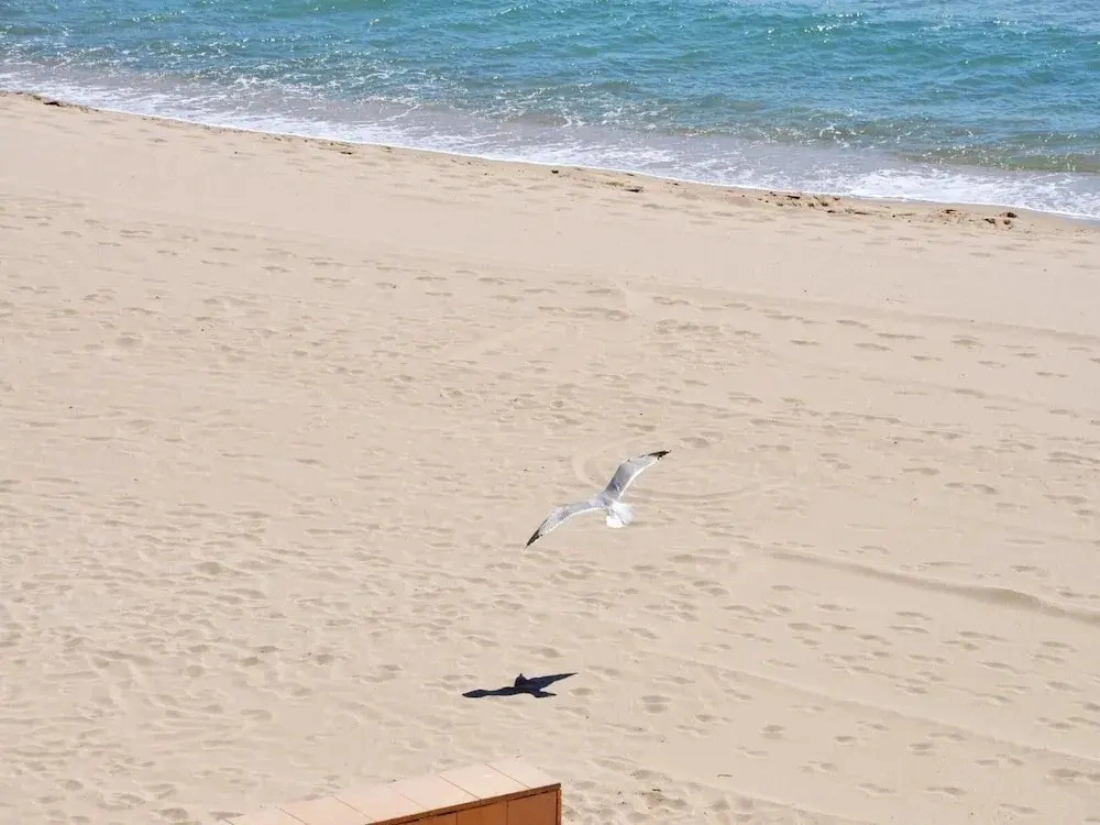 Apartment in Roses Near Santa Margarita Beach