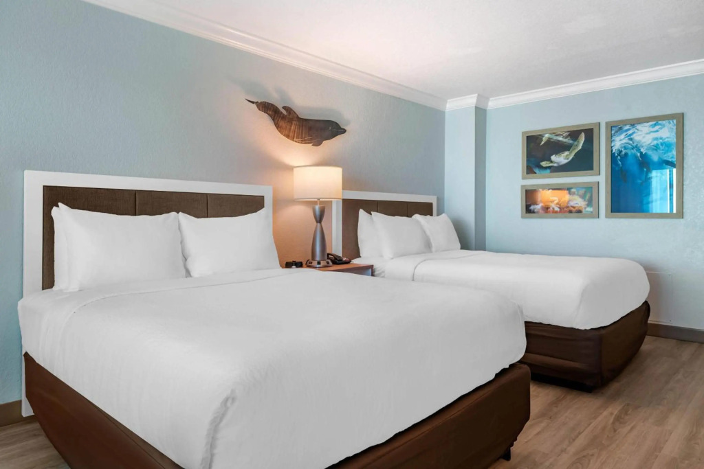 Dolphin Sands Clearwater Beach, an Ascend Collection Hotel