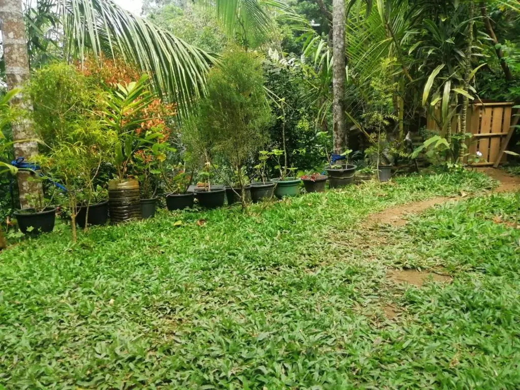 Ella Flower Garden Resort