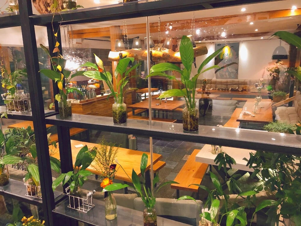 Tree Space Hotel