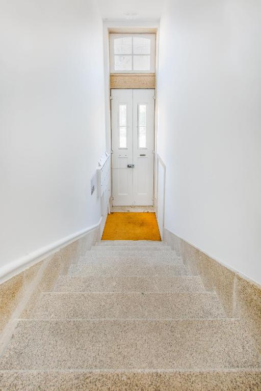 Santa Catarina Downtown Flat