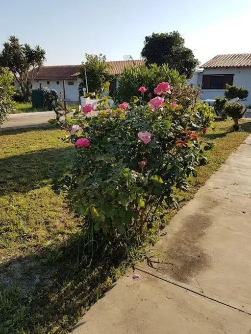 Apartement Kos CountryHouses