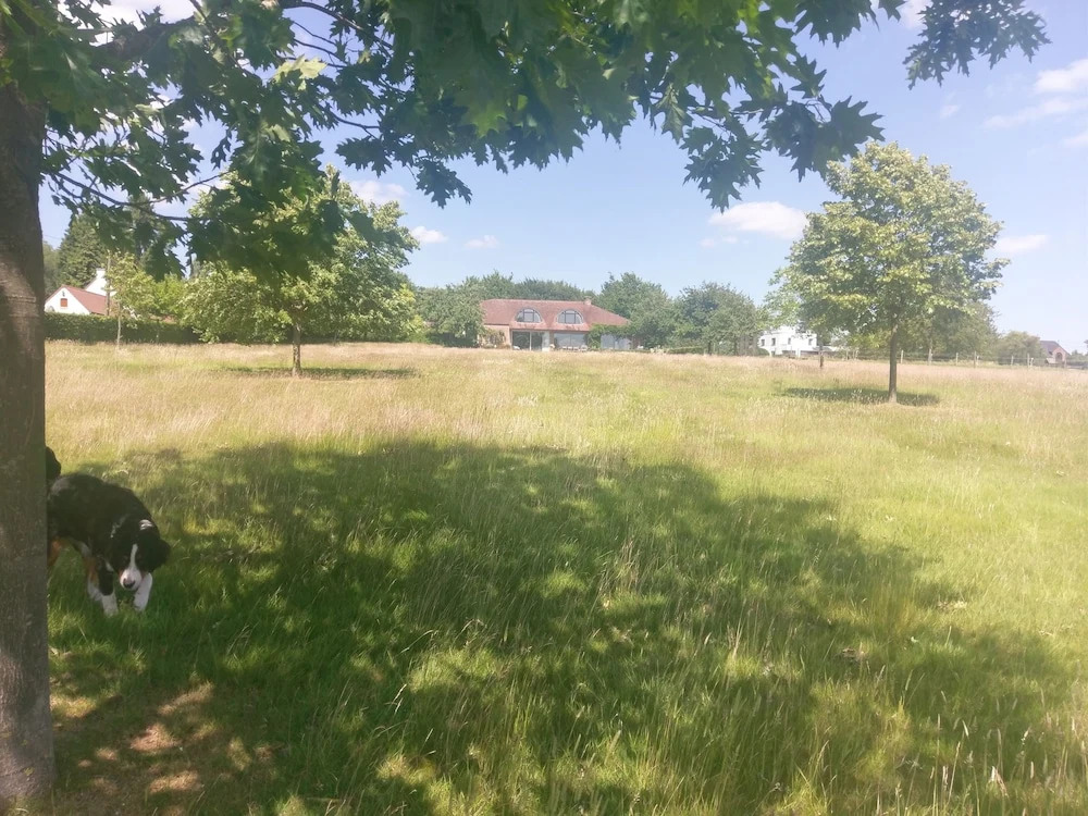 La Petite Bruyere De Renaix