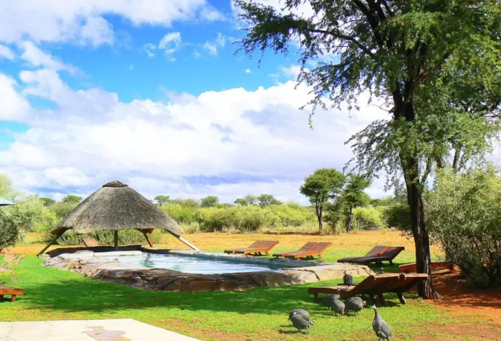 West Nest Lodge