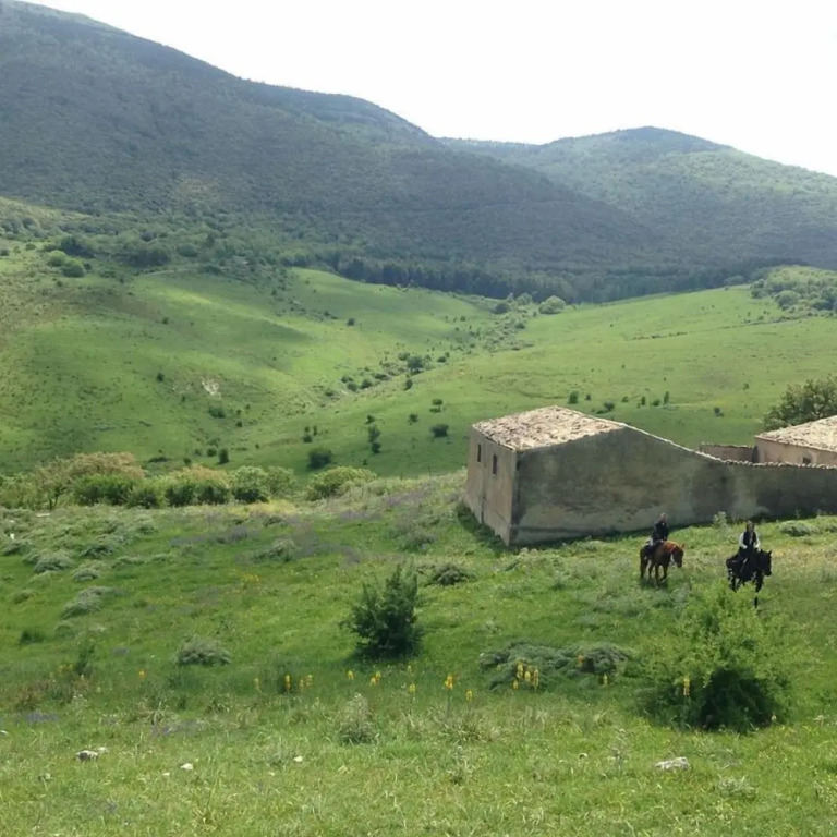 Azienda Agricola Traina