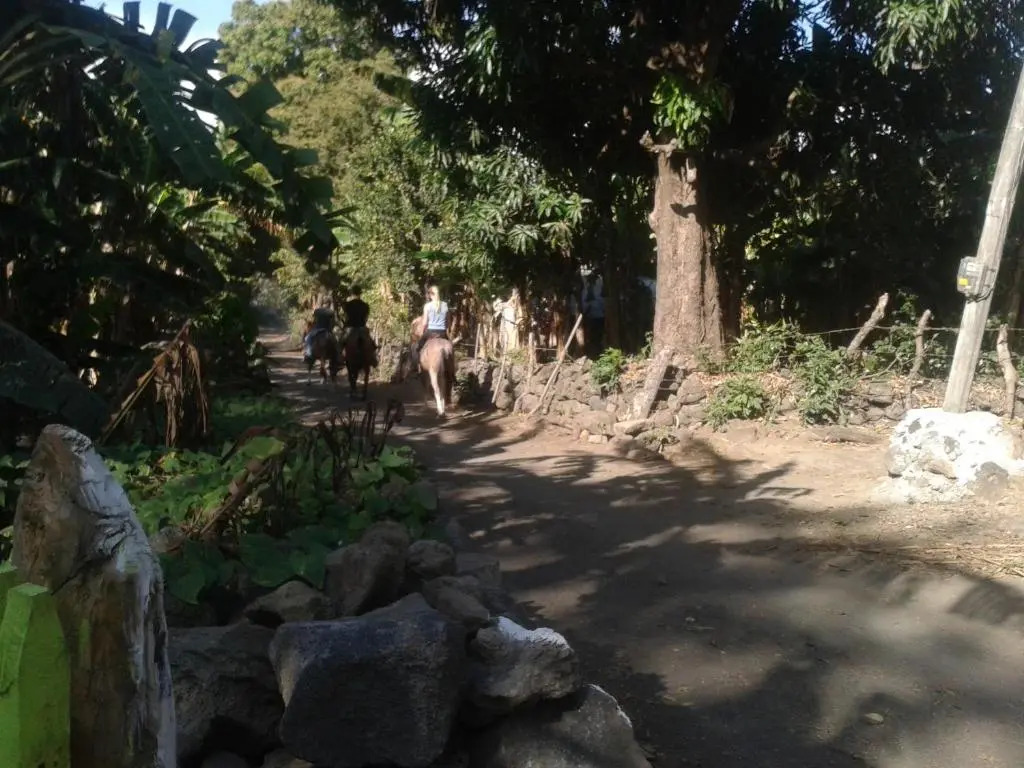Hospedaje Bananas