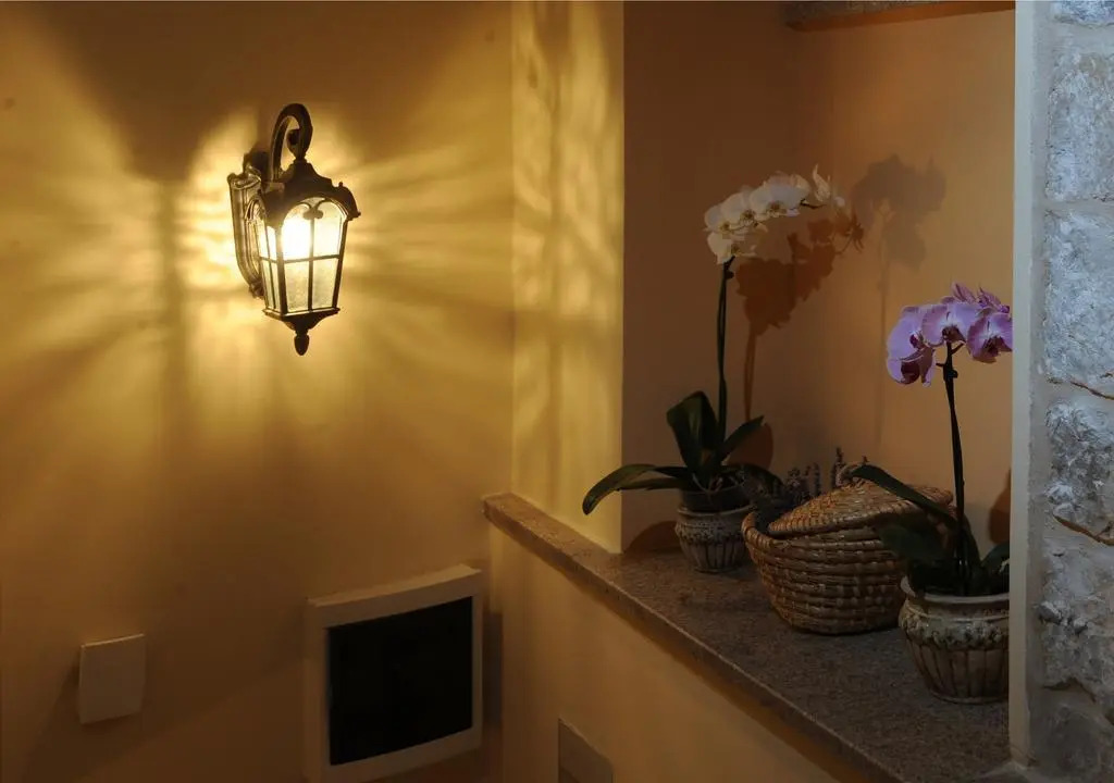 Apartment Orhideja