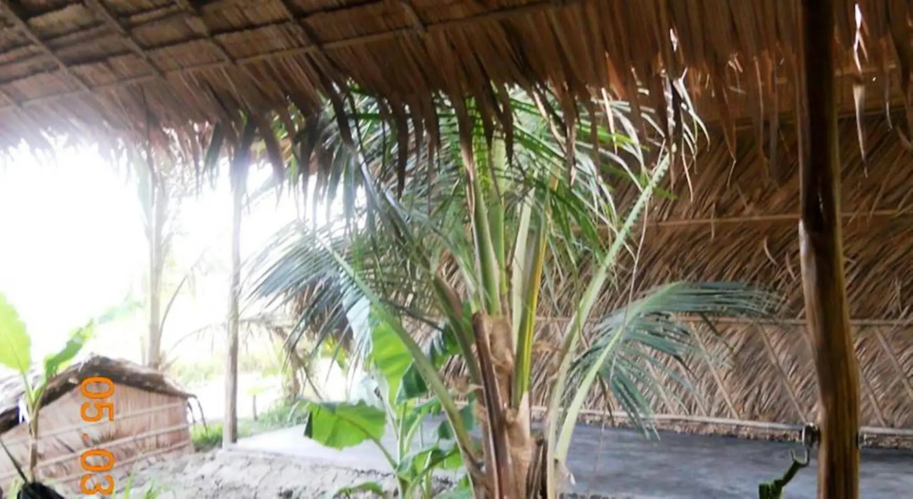 Kim Lan Homestay