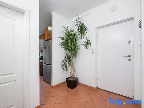 Lumina 3 room apart near Łazienki Królewskie