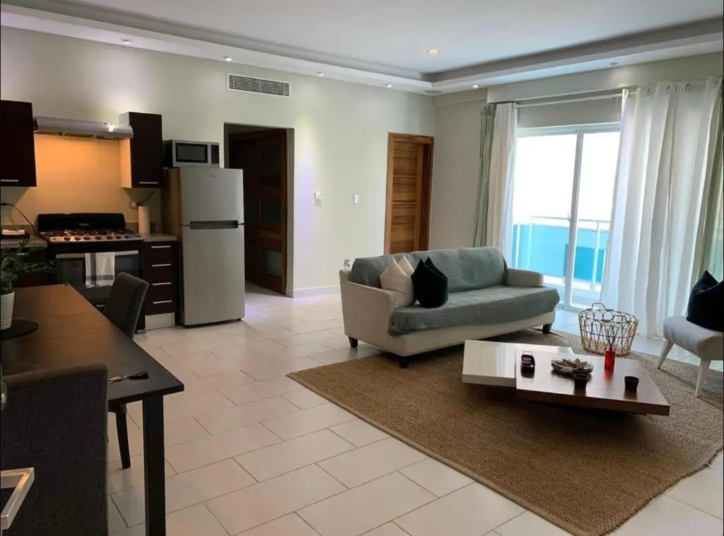 Cozy Apartament in Serrallés/Piantini #1
