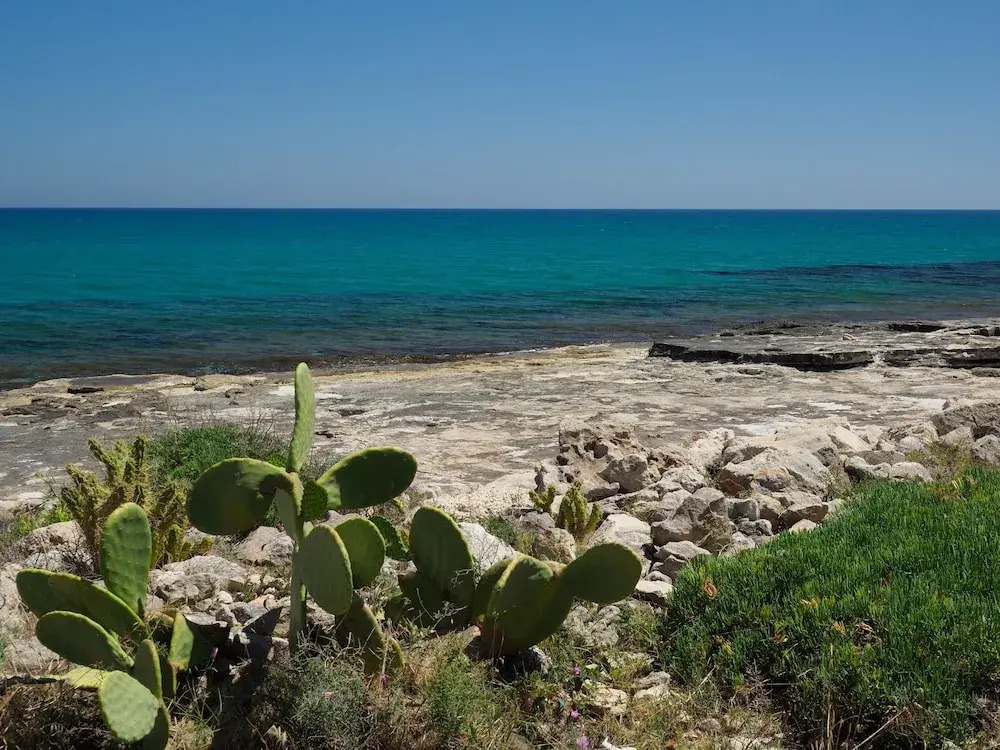 Cala Sol - Viola