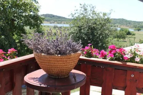Apartman Nikol
