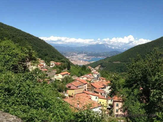 Affittacamere lAcciuga