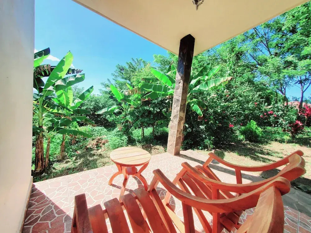 The Jungle Lodge