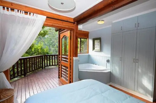 Ballots Tree House