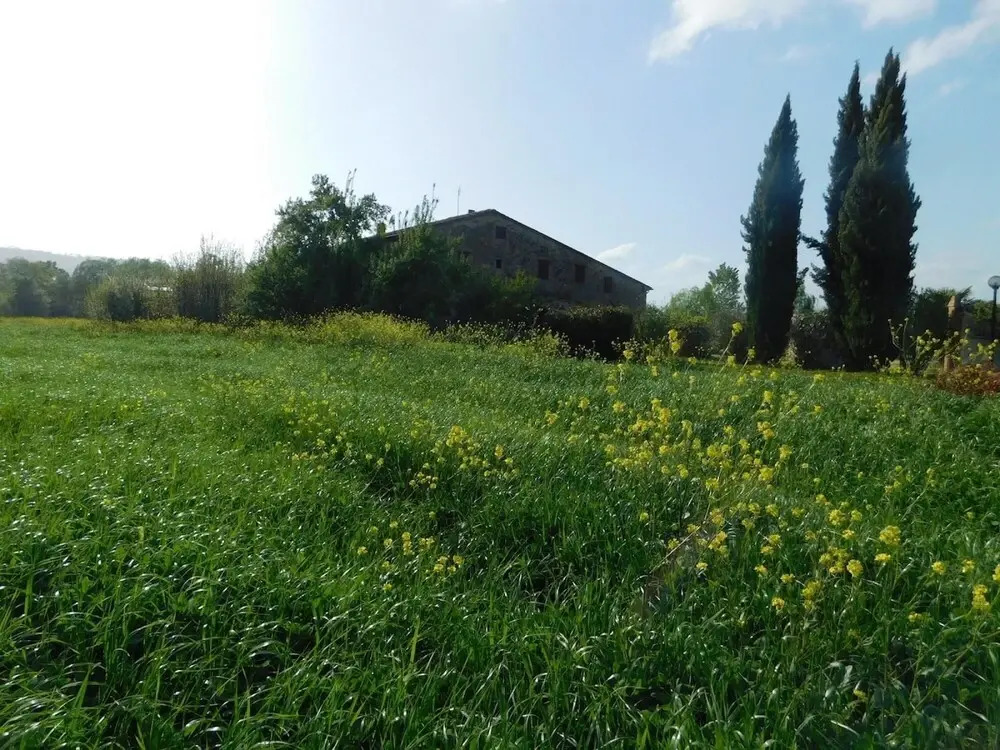 Maremma 3 Apartment With big Garden and Pool