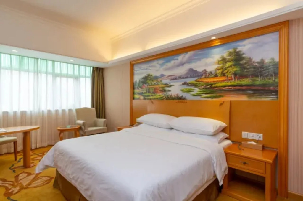 Vienna Hotel