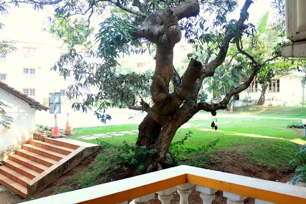 Spacious Fully AC Apartment - CM040