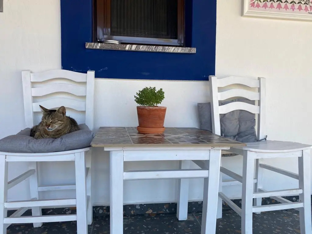 Pelin-inn Ada Evi