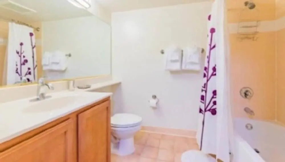 Lovely 2 Bedroom 2 Bathroom Apartment in the Nation s Capital 4 Guests