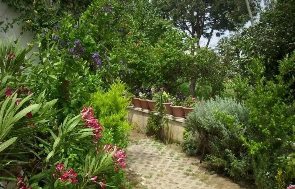 Villa Demirci 6