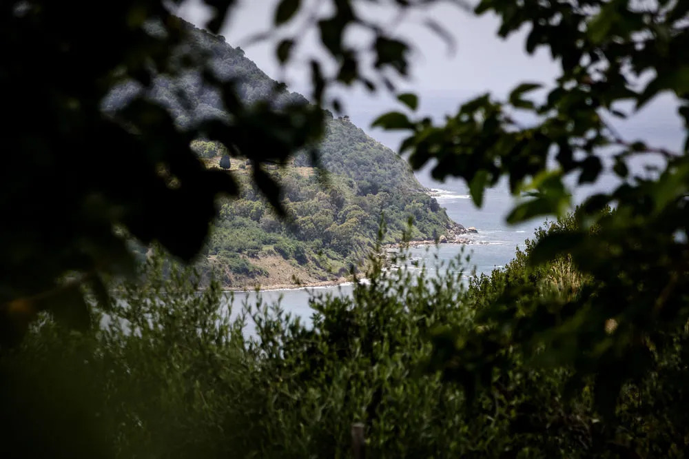 La Selva