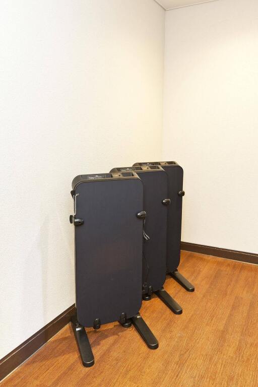 Sotetsu Fresa Inn Nihombashi-Ningyocho