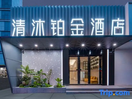 Qingmu Platinum Hotel (Nanjing Hanzhongmen Street Hexi Wanda Branch)