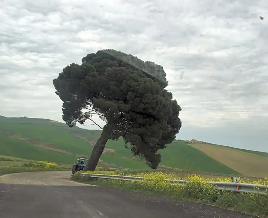 Le Antiche Mura