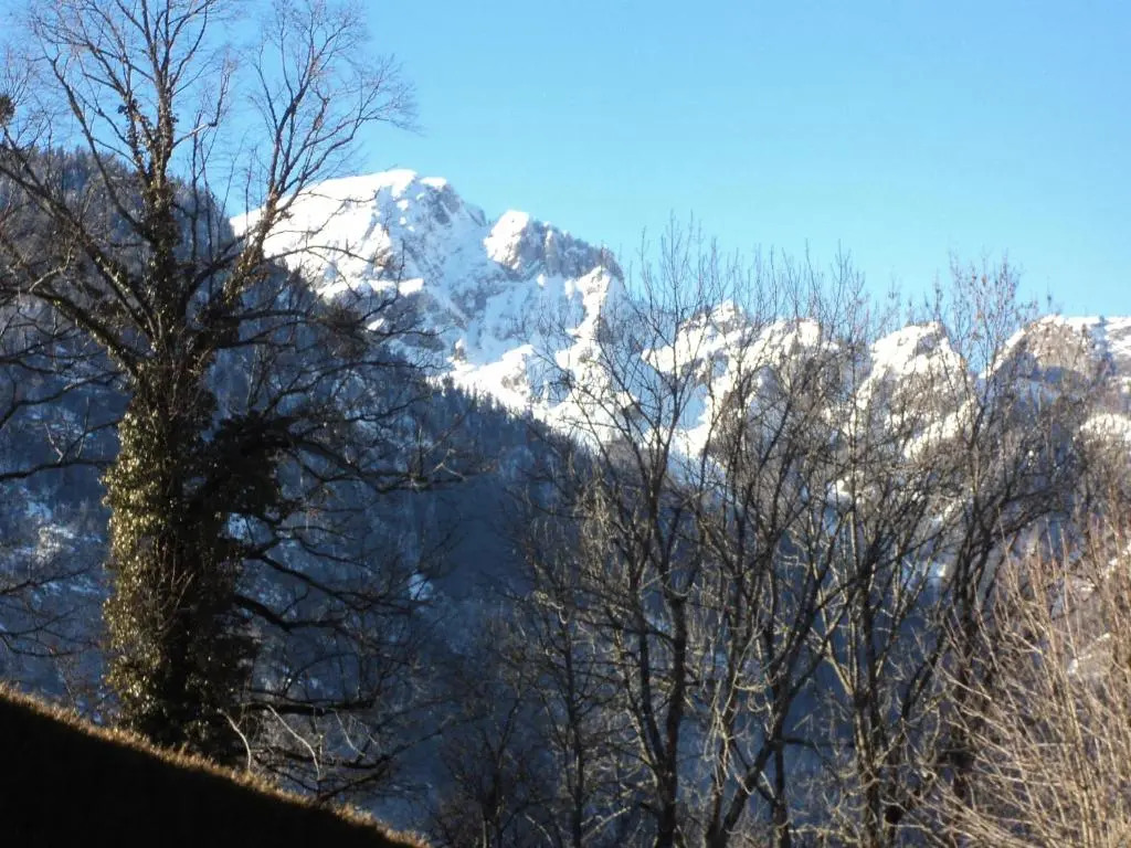 Les Tilleuls