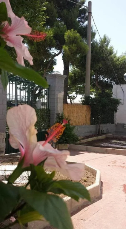 B&B Porto Levante
