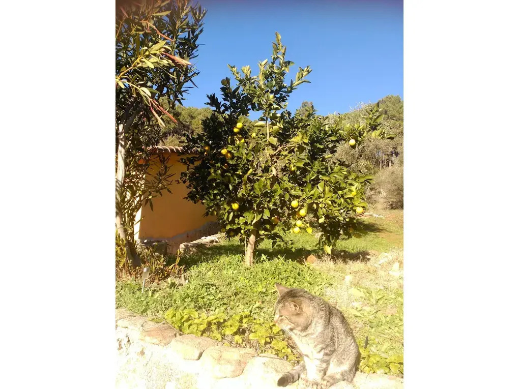 Casa Rural Las Gesillas