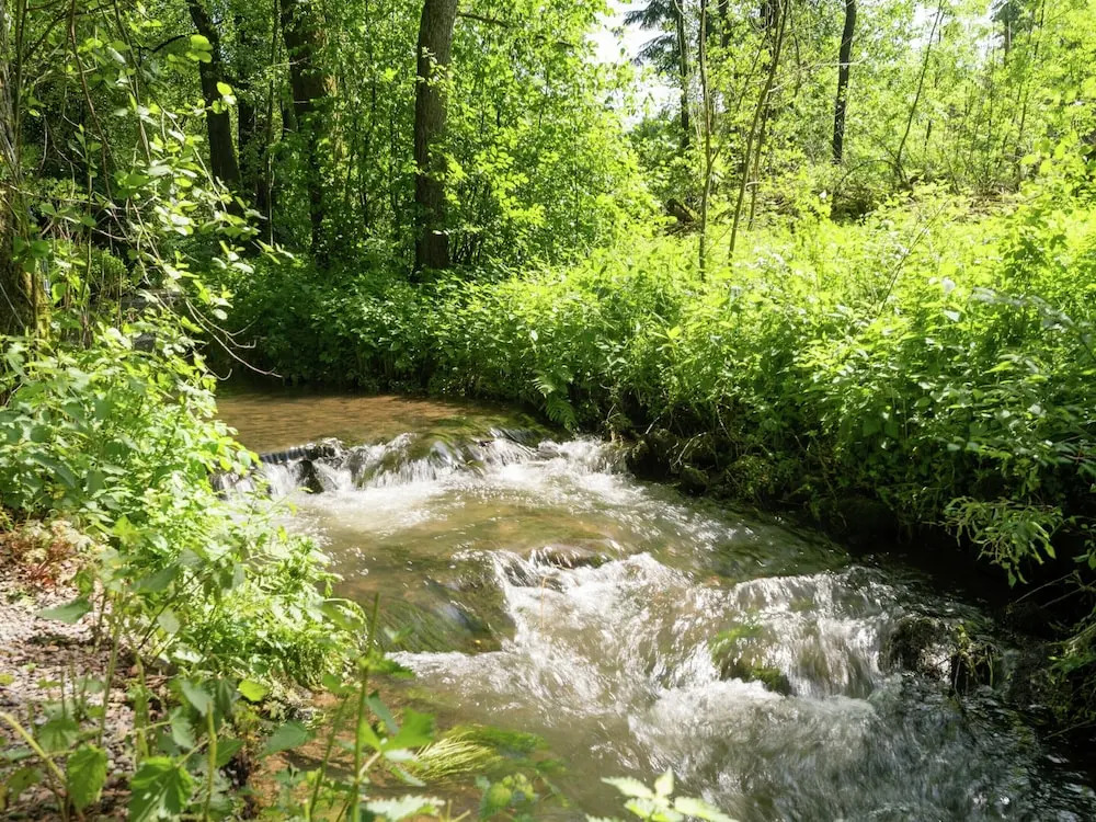 Nature Retreat in Waimes