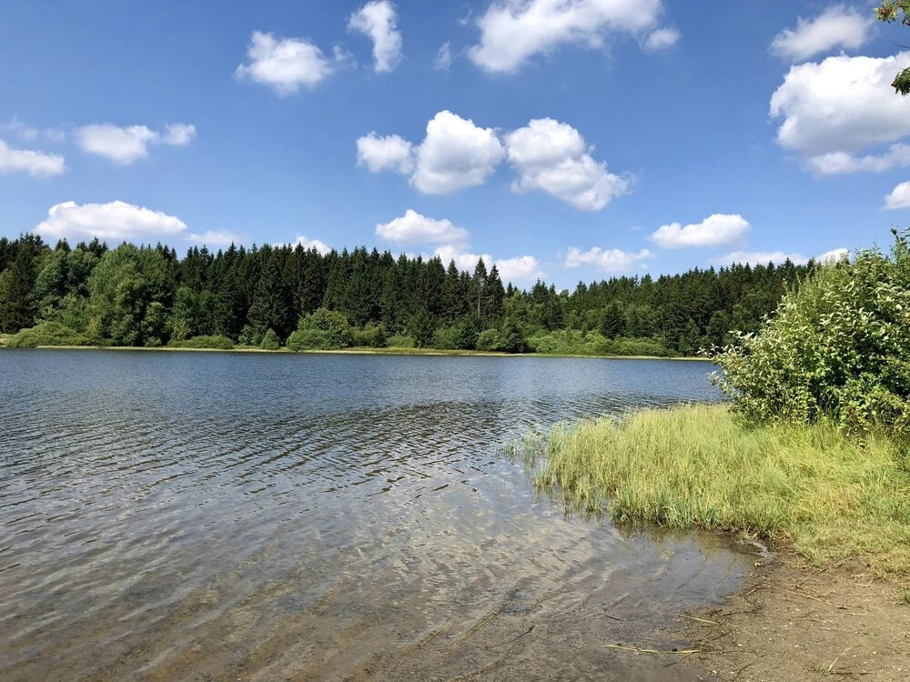 Wooden chalet with oven, in Oberharz near a lake