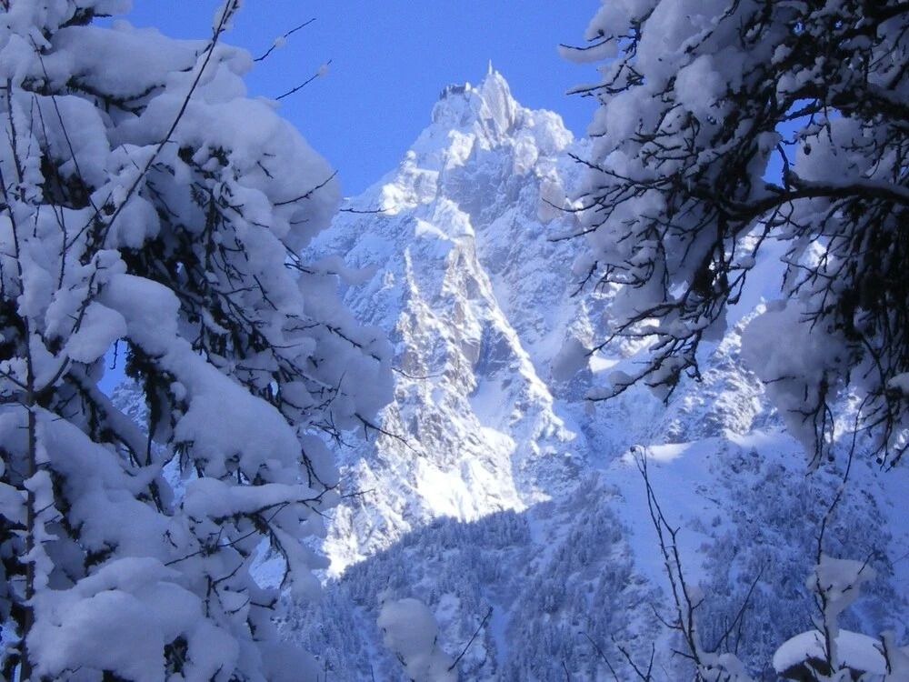 Chalet Ecureuil