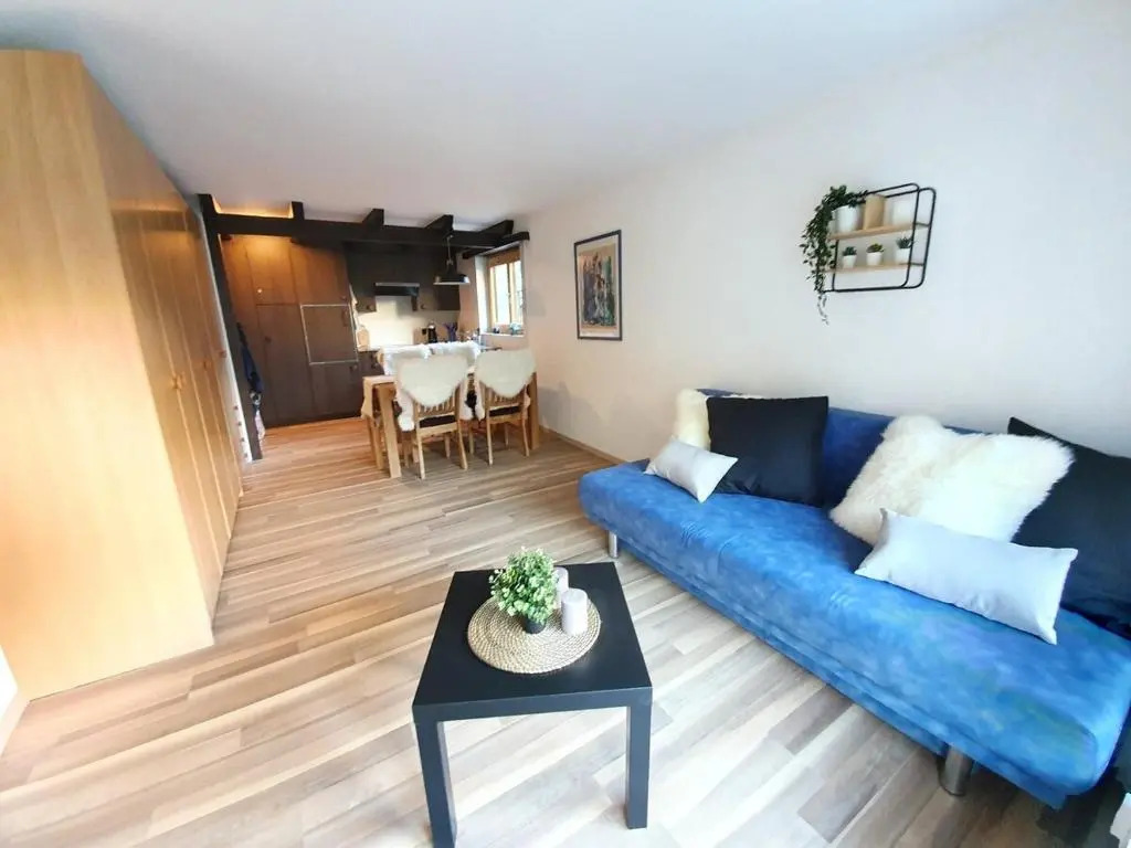 Bright renovated studio - 1 min from the slopes!