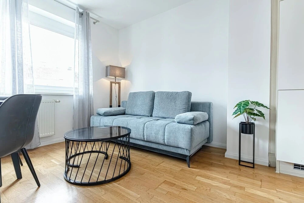 Chic 1BR with 1LV Apt In Central Vienna