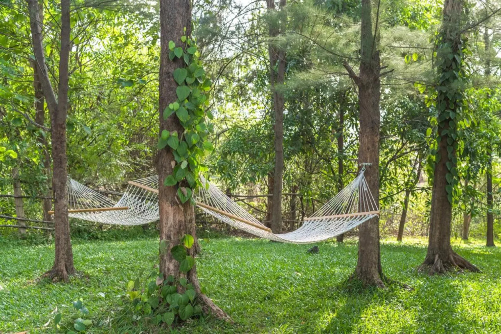Saffronstays One Tree Farm, Karjat