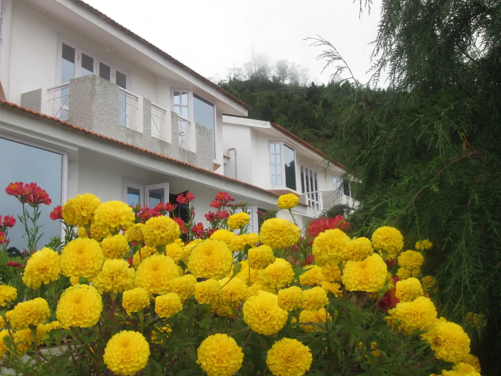 Country Club Valley Vista