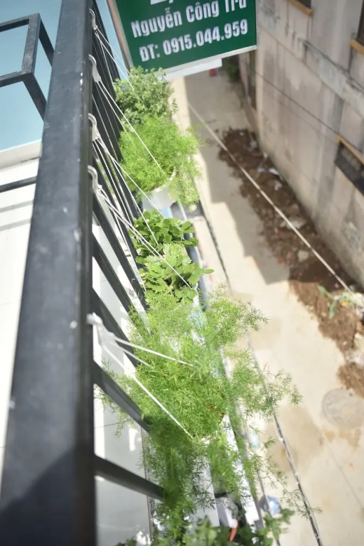 Toms Homestay Huế