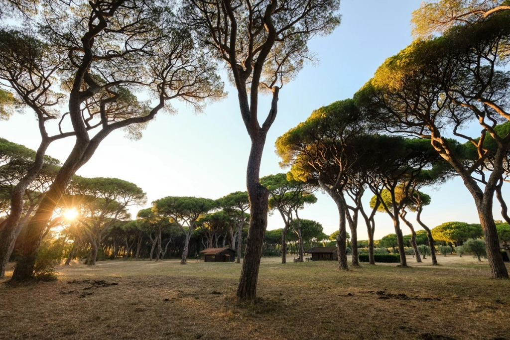 Residence La Canova II