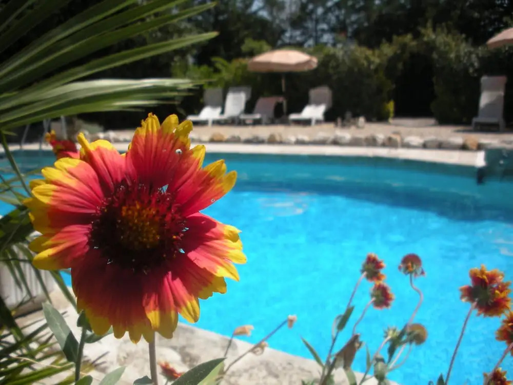 Gites Climatisés Piscine Chauffée La Balancelle