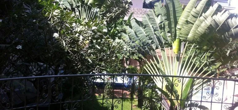 Bougainvilla Hotel
