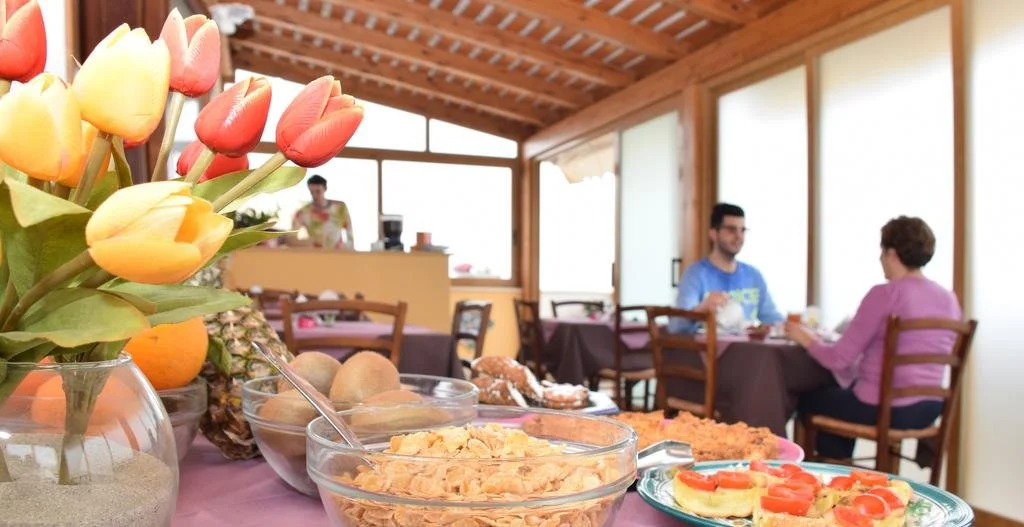 Hotel Halimeda