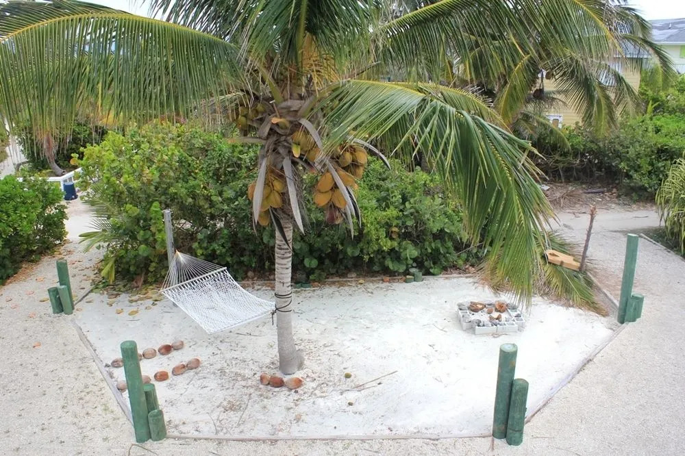 Abaco Surfside