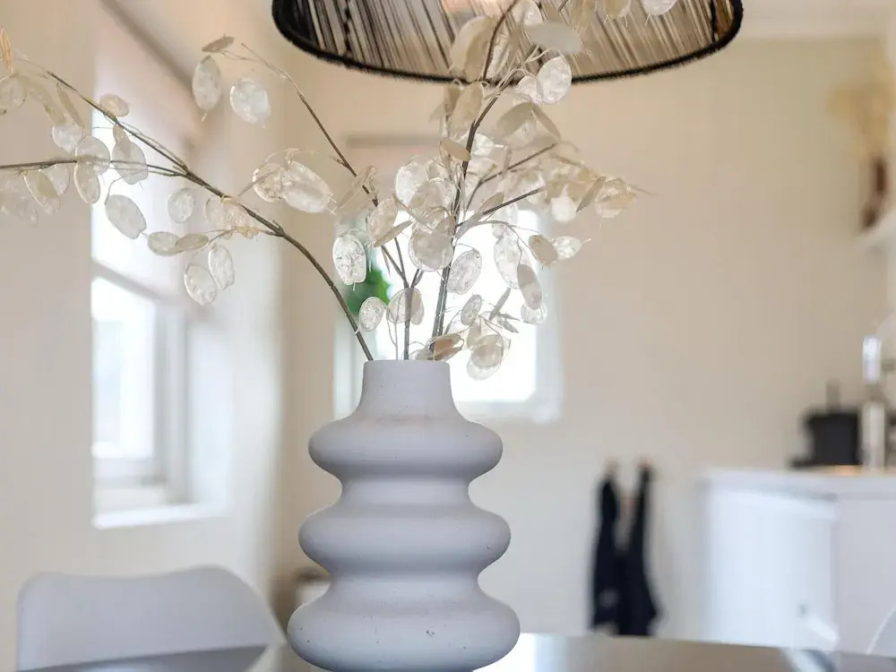 Suite in Vrouwenpolder Near North Sea Beach